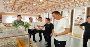 老艾堂获深度调研！仝海洋秘书长见证：艾灸加盟实力品牌更安心！