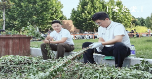 七年赴约，千店同频：老艾堂以一场“送艾运动”，定义艾灸品牌的文化高度